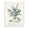 Stupell Industries Flowers & Leaves Vintage Illustration Wall Plaque